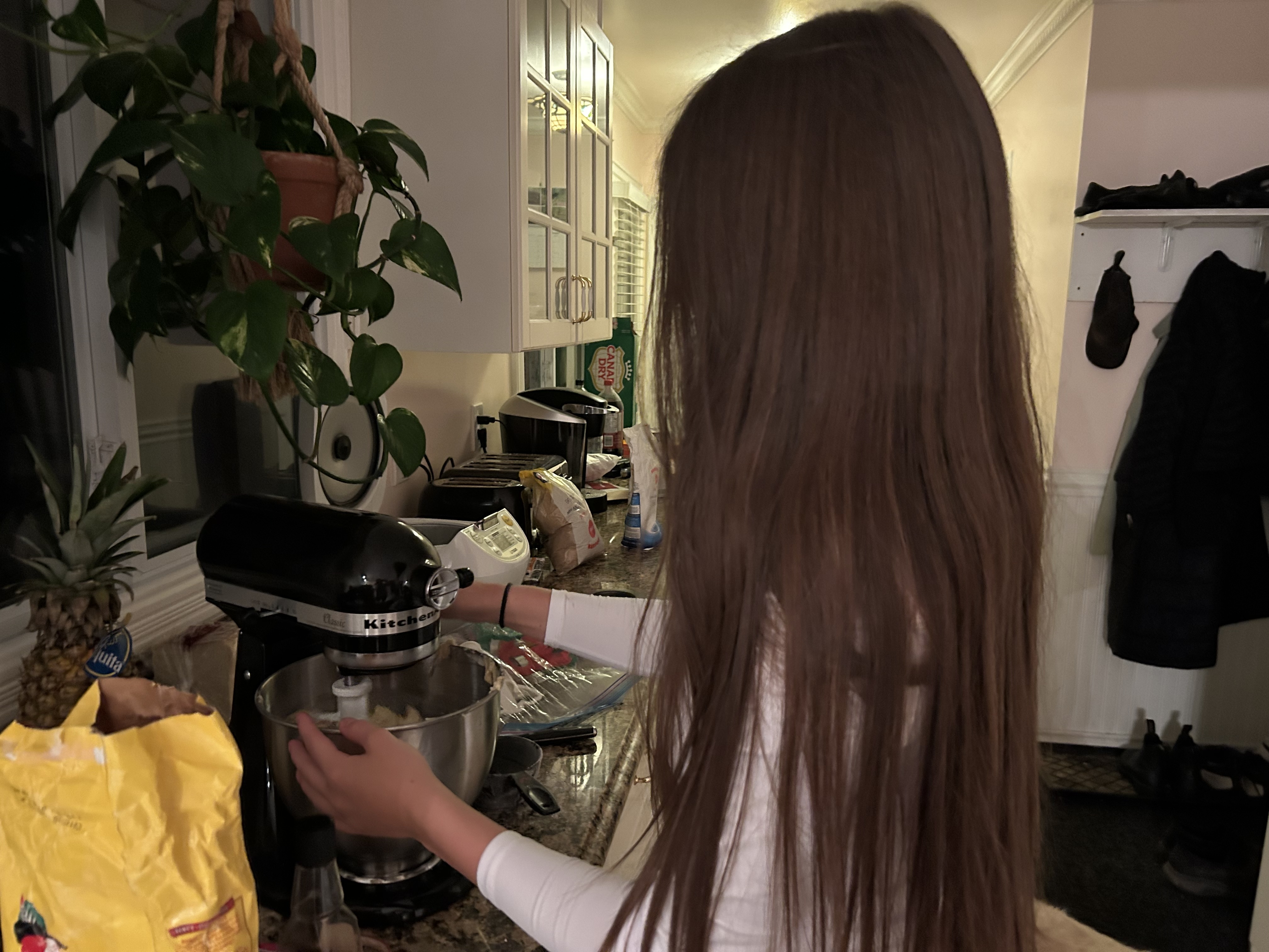 Variety of freshly baked cookies