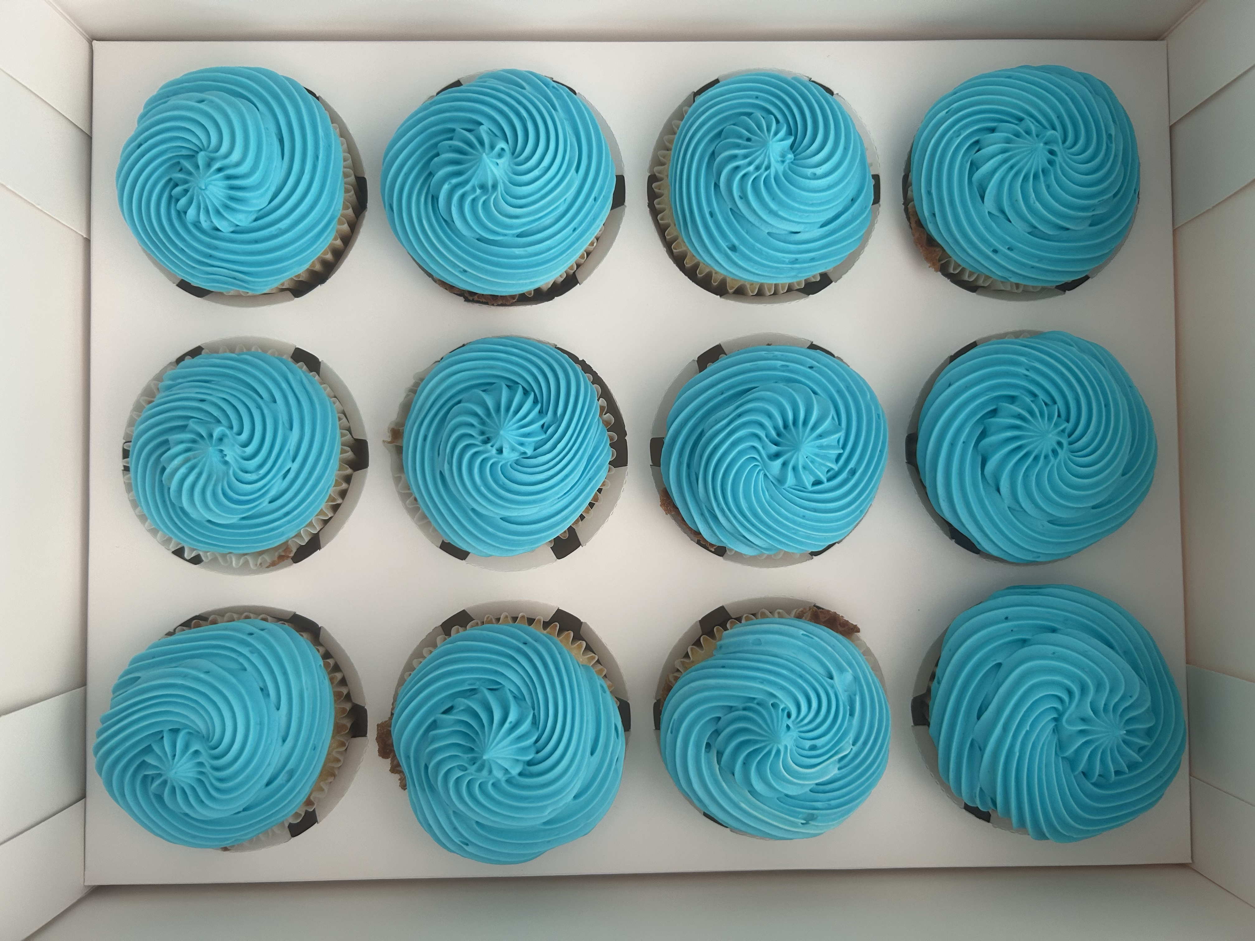 Blue frosted cupcakes